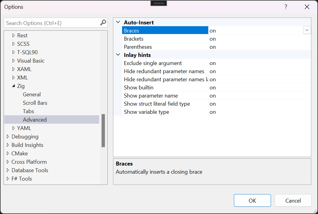 Tool Option Text Editor Zig Advanced